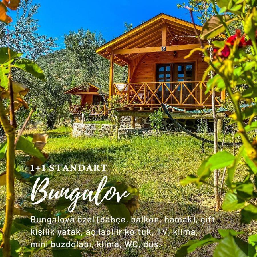 Отель Kazdaglari Saglikli Yasam Koeyue Эдремит Экстерьер фото
