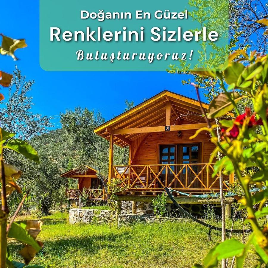 Отель Kazdaglari Saglikli Yasam Koeyue Эдремит Экстерьер фото